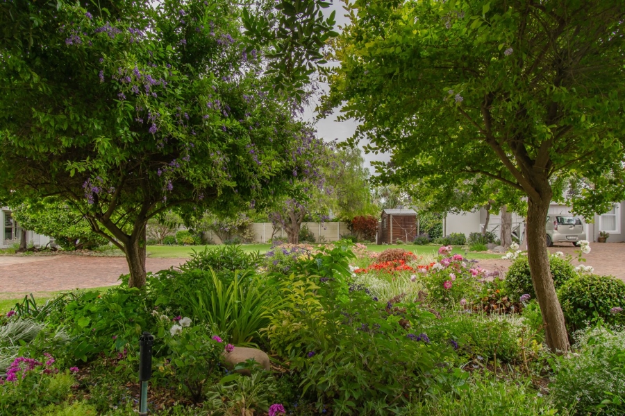 To Let 4 Bedroom Property for Rent in Somerset West Western Cape